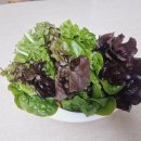 은자농장 이미지