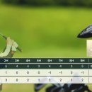 스텝골프스튜디오 이미지