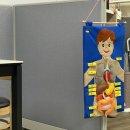 플라베스 이미지