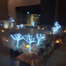 네스트(NEST) 이미지