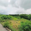 강화원공인중개사사무소 이미지