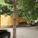 솔치송어파티 이미지