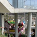 삼십오밀리미터 이미지