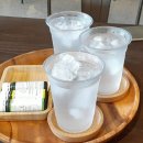 별의정원