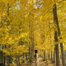 (주) 암새들 이미지