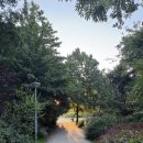 MOON GATE | 8월 네덜란드 여행 - 5일차(크롤러 뮐러 미술관)