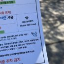 피자스쿨 상봉점 | 뭘 했다고 3월 ?!
