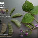 [공지] 2026년 하반기 토종씨앗 정기나눔 – '봄·여름 거둠 씨앗’ 기증 안내 이미지