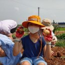 신방초등학교 이미지