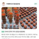 UR(수원시)-[창룡대로]-하-2 | 행궁동 브런치 카페 추천 <카페메이븐 행궁동본점>