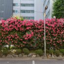 지에스25(GS25) 홍대공원점 이미지