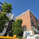 효림초등학교 | 장림동도배 부산 사하구 대언그린빌라 집전체 합지벽지 1.8t 장판시공현장