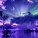 하얀정원 이미지