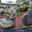 돌마농장 이미지