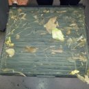 가산자동차공업사 이미지