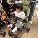 차니카 | 에이블 트라이크 유모카플러스 신세계 팝업 스토어 구매후기 (아기 15개월) 휴대용유모차