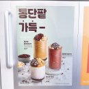 용인처인빽다방 | 우지 빽다방 메가 컵빙수 비교 가격 칼로리