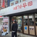 TV 방영 선릉역맛집 배가무 닭볶음탕 대치본점 솔직한 선릉역점심 후기 (내돈내산)