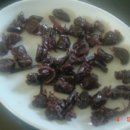 남일농장 이미지