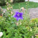 신동근린공원 이미지