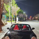 터미널 세차장 이미지