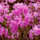 보라미용실 이미지