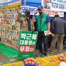 점촌전통시장 Daum카페