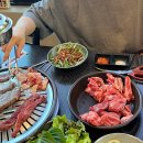 공룡고기시즌2시화점 이미지