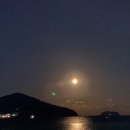 학동어부횟집