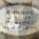 YS복싱클럽 | 영등포 문래동 ㅣ 관장님 미트가 찰진 &lt;YS복싱클럽&gt;, 찐내돈내산 솔직후기 🥊🥊