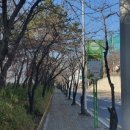 우리래미안공인중개사사무소 이미지