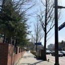 마시땡 | 안양 평촌 학원가📚 뒤편 먹거리 골목 인기 짱 많은 정통춘천닭갈비🐔 후기