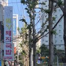 정통밀양돼지국밥 이미지