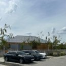 대조1리 이미지