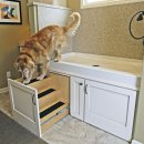 강아지 목욕탕 이미지