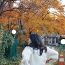 수정로135번길 이미지