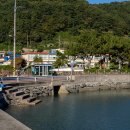 산양초풍화분교 이미지