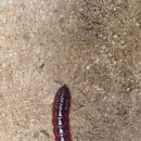 도봉산역(7호선) 화장실 이미지