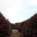 위미위드미 게스트하우스 이미지