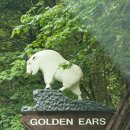 파크아이엘츠 | 일상 2025 5월 한달 일기 | 돌아온 일상, 아이엘츠 첫시험 후기, Golden Ears 우중캠핑, 첫 스팟프라운...