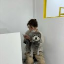 까까주까 이미지