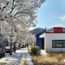 청도여행자센터 이미지