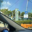 하단동1195 | 양산근교, 부산 아이랑 갈만한 곳 - 을숙도 생태탐방선 선착장 탑승후기