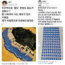 준호 보려고 비빔면 1000봉 사도 '꽝'..도 넘은 팬덤 마케팅 이미지