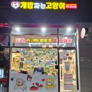 개밥파는 고양이 야당점 이미지