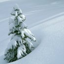 모두건강 이미지