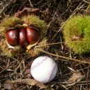 김용호 농장 이미지