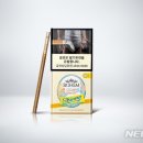인슬림
