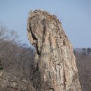 신우 태양광발전소 이미지