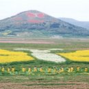 함평 부화장 이미지